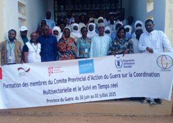 Guera : Les membres du CPA formés sur la coordination multisectorielle et le suivi communautaire