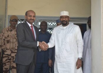 Sécurité : L’Inde et le Tchad renforcent leur coopération stratégique