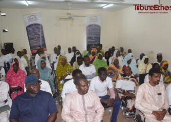 Guéra: l’ADETIC en Campagne de sensibilisation sur les TIC à Mongo