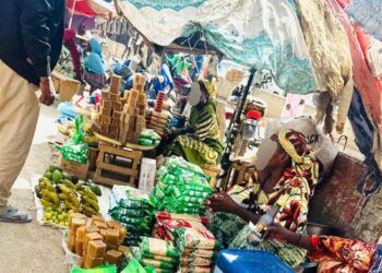 Tchad : Le petit pont de Nguéli, carrefour commercial précaire entre survie et insécurité