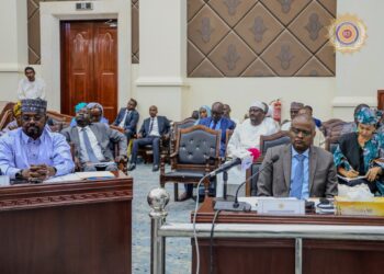 Tchad: 161 députés votent à l’unanimité pour la Convention de non-double imposition avec les Émirats Arabes Unis