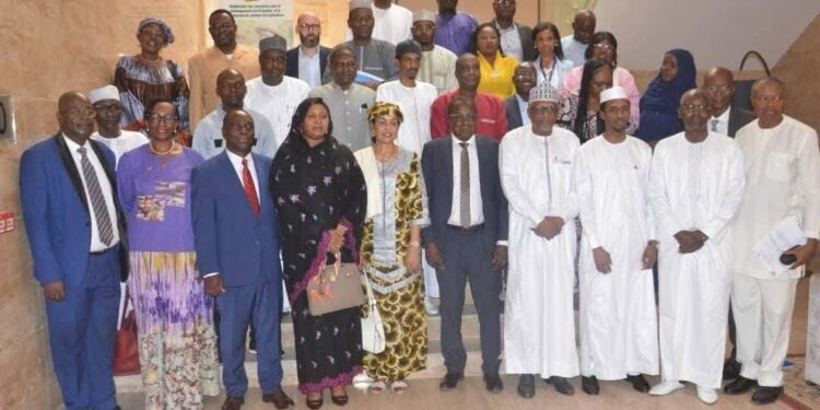 Tchad : Évaluation du plan cadre de coopération pour le développement 2024-2026