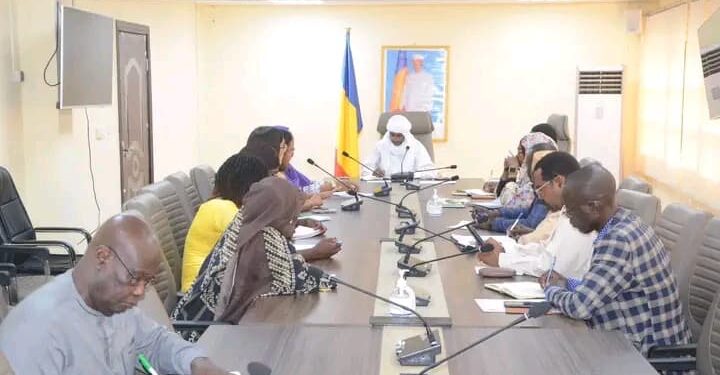 Tchad : Vers un partenariat renforcé entre le ministère de la Santé et le groupe IPAS