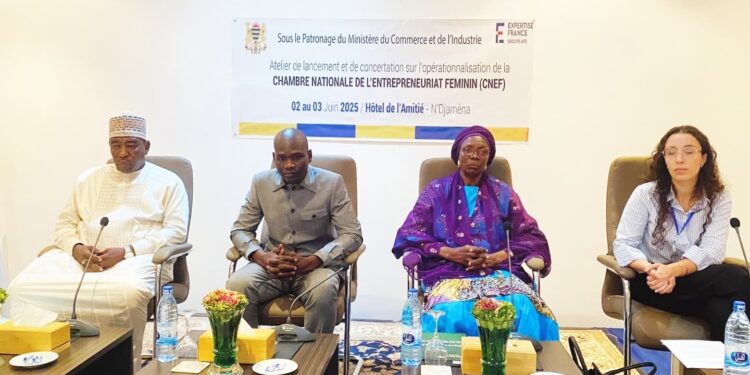 Tchad : Un atelier sur l&rsquo;opérationnalisation de la Chambre nationale de l&rsquo;entrepreneuriat féminin a été ouvert à N&rsquo;Djamena.