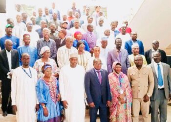 Tchad : Le gouvernement en quête de financements pour irriguer 200 000 hectares de terres agricoles