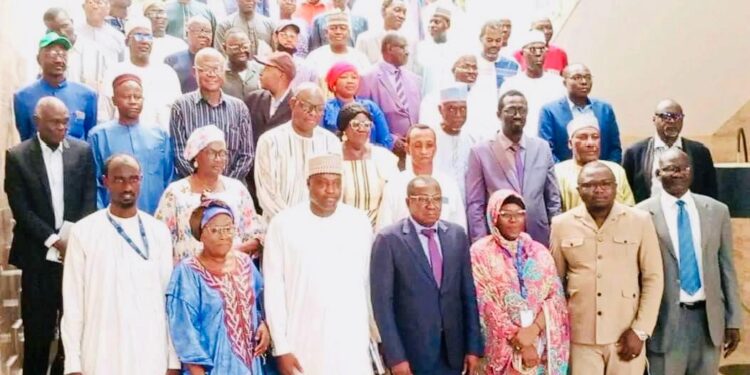 Tchad : Le gouvernement en quête de financements pour irriguer 200 000 hectares de terres agricoles