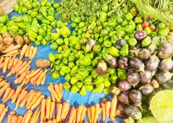 Tchad : Une Abondance Exceptionnelle de Légumes Inonde les Marchés de N’Djamena