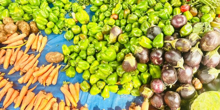 Tchad : Une Abondance Exceptionnelle de Légumes Inonde les Marchés de N’Djamena