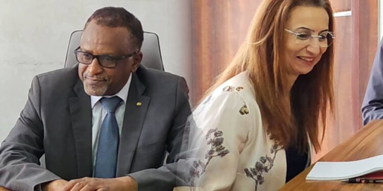 Tchad : La directrice de l&rsquo;IFEF reçue par le Ministre de l&rsquo;éducation