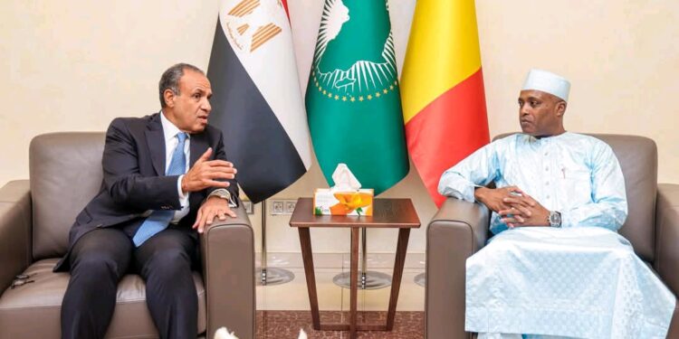 Tête-à-tête entre le chef de la diplomatie tchadienne et son homologue égyptien