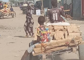 Tchad: Travail des enfants, entre survie et exploitation