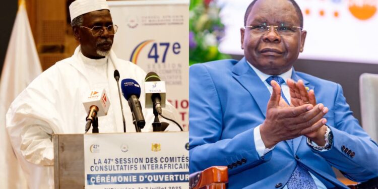 Tchad : le Premier ministre l’Amb Allah-Maye Halina félicite le ministre d&rsquo;État Dr Tom Erdimi pour son succès à la 47e Session des Comités Consultatifs Interafricains (CCI) du CAMES