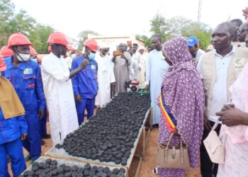 Goz-Beïda : Lancement d&rsquo;une unité de production de charbon écologique.