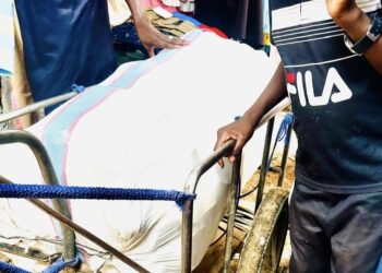 Tchad : Embouteillage humain au marché de Dembé, les vendeurs ambulants paralysent la circulation