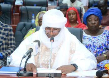 Tchad : Le Sénat adopte à l’unanimité le projet de loi instituant l’Ordre National des Sages-Femmes et Maïeuticiens