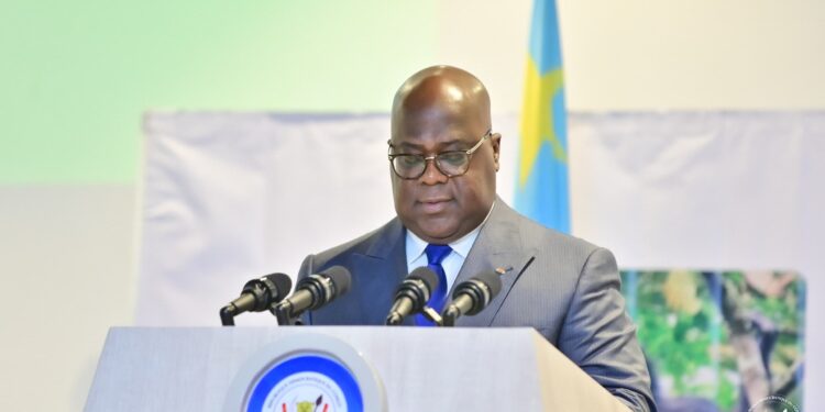 RDC : Le Crédit Bonobo, une révolution verte pour la biodiversité et le développement durable