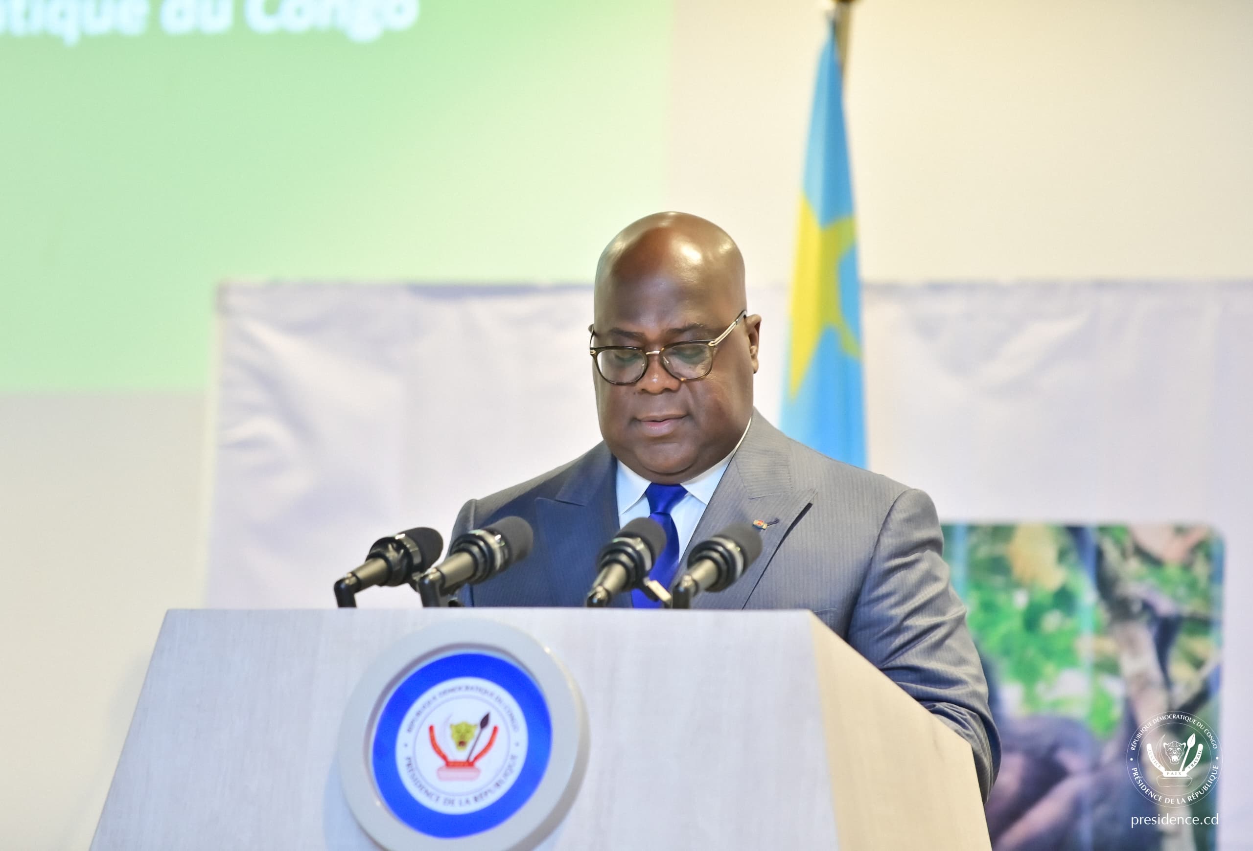 RDC : Le Crédit Bonobo, une révolution verte pour la biodiversité et le ...