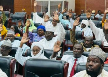 Tchad : Le Sénat adopte un accord de prêt clé pour le financement du projet Bithea 2