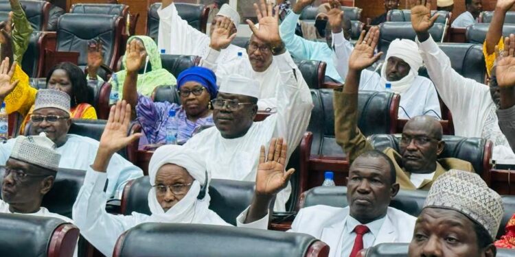 Tchad : Le Sénat adopte un accord de prêt clé pour le financement du projet Bithea 2