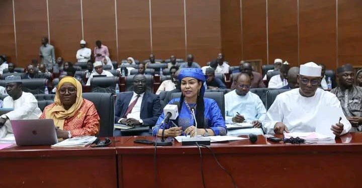 Tchad : Vers un partenariat fiscal renforcé avec les Émirats Arabes Unis