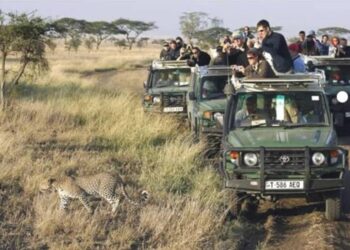 Tanzanie : Objectif 8 millions de touristes d’ici 2030, Ngorongoro en vitrine mondiale