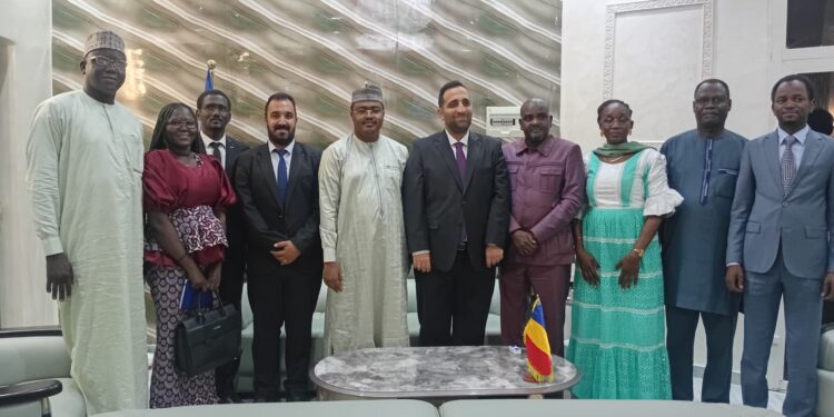 Tchad : Le Ministère de la Jeunesse et le Programme TIKA unissent leurs efforts pour l’emploi des jeunes