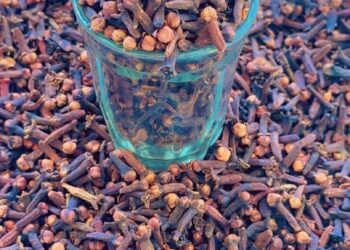 Tchad: Le clou de girofle, une épice aux multiples vertus adoptée par les Tchadiens