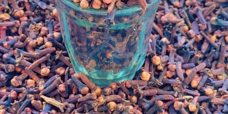Tchad: Le clou de girofle, une épice aux multiples vertus adoptée par les Tchadiens