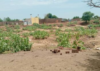 N’Djamena: Défécation à l’air libre, un fléau sanitaire persistant en pleine ville