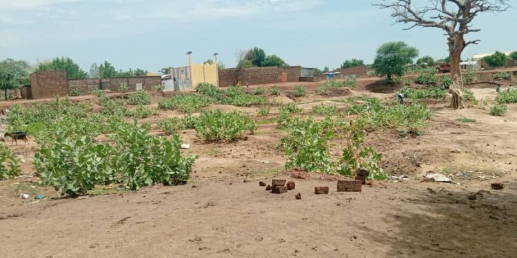 N’Djamena: Défécation à l’air libre, un fléau sanitaire persistant en pleine ville