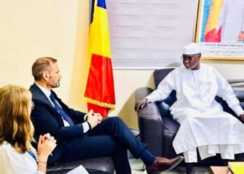 Tchad : Le ministre de la fonction publique reçoit le Représentant Pays de l&rsquo;OIM