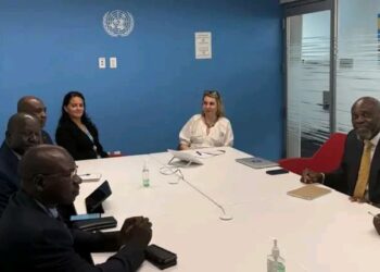 Tchad/ONU : Rencontre entre le SG du Ministère des Affaires Étrangères et Mme Elizabeth Spehar à New York