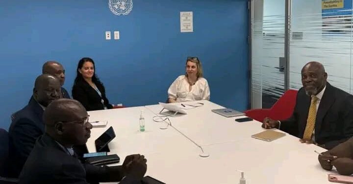 Tchad/ONU : Rencontre entre le SG du Ministère des Affaires Étrangères et Mme Elizabeth Spehar à New York