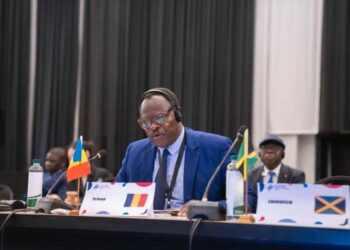 Tchad : Une participation active à la première réunion mondiale sur les PME à Johannesburg