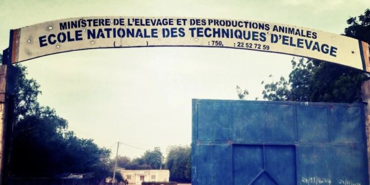 Tchad : L’ENATE lance un concours d’entrée pour former les futurs techniciens d’élevage