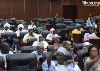 Tchad : Le Sénat adopte à l’unanimité la loi renforçant l’Institut de Recherche en Élevage pour le Développement (IRED)