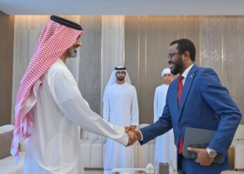 Diplomatie : L’Ambassadeur Oumar Teguén Idibeï Berdé reçu par Son Altesse Cheikh Ammar Bin Humaid Al Nuaimi pour renforcer la coopération bilatérale