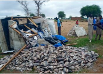 Guera : Un véhicule chargé de poisson se renverse à 10Km de Mongo