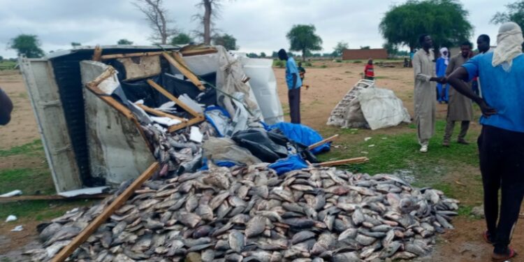 Guera : Un véhicule chargé de poisson se renverse à 10Km de Mongo