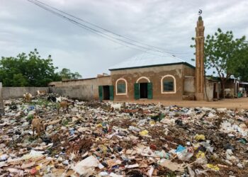 Pala : La mauvaise gestion des déchets domestiques, un danger pour la société.