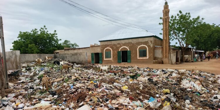 Pala : La mauvaise gestion des déchets domestiques, un danger pour la société.