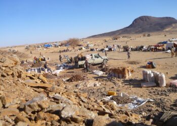 Tchad : La SONEMIC face aux scandales des allégations graves