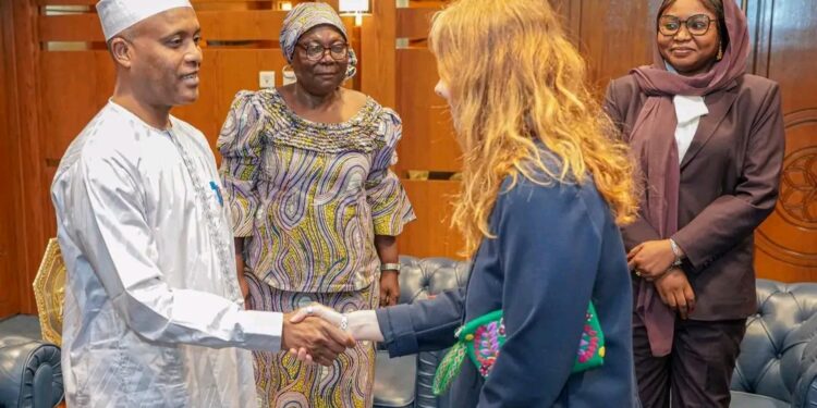 Tchad : La nouvelle ambassadrice du Royaume-Uni reçue par le chef de la diplomatie