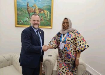 Coopération Tchad – Autriche : Le PND 2030 au cœur des perspectives économiques