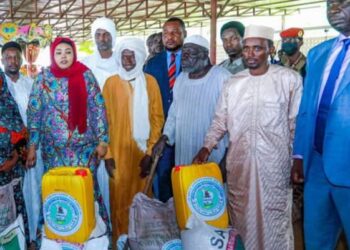 Tchad : L’ONASA mobilise 3000 tonnes de vivres subventionnés pour lutter contre la faim