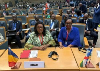 une délégation tchadienne participe à la 75ᵉ session du Comité régional de l’OMS/Afrique en Zambie