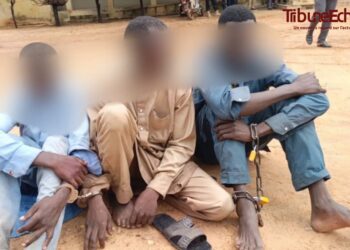 Tchad : Trois présumés criminels arrêtés au Mayo Kebbi Ouest, armes et alcool frelaté saisis