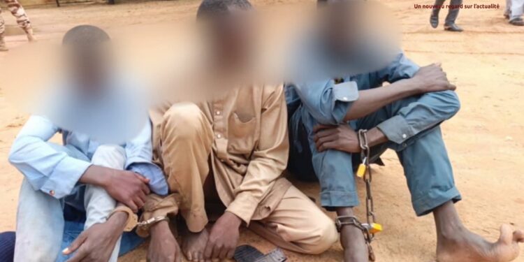 Tchad : Trois présumés criminels arrêtés au Mayo Kebbi Ouest, armes et alcool frelaté saisis