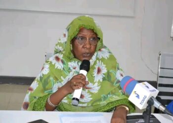 Tchad : L&rsquo;atelier de renforcement des capacités pour une gestion axée sur les résultats et un travail décent lancé à N&rsquo;Djaména