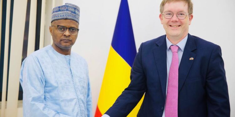 Coopération : Le ministre d’Etat Tahir Hamid Nguilin reçoit l&rsquo;Ambassadeur de l&rsquo;Allemagne à la fin de sa mission au Tchad